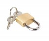 EYEBRAND BRASS PADLOCK 20MM SHACKLE
