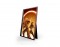 aoc-phi-16g3-156-ips-led-fhd-1920-x-1080-21152