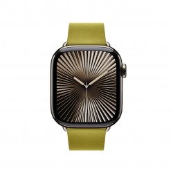 APPLE MXW73FE/A 42mm Chartreuse Modern Buckle - Medium