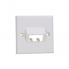 Panduit CFP86S2IWY Faceplate, 2 Port, 86x86 Sloped, Off Whit