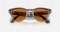 rayban-rw4009-new-rayban-polar-dusty-red-25720