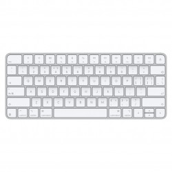 APPLE MXCL3CV/A Magic Keyboard (USB?C) - Chinese (Pinyin)