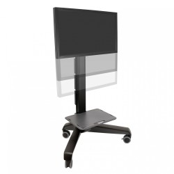 Ergotron 24-190-085 Neo-Flex? Mobile MediaCenter LD