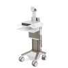Ergotron SRVC-CFP5YR Five-Year Extended Warranty: CareFit Pr