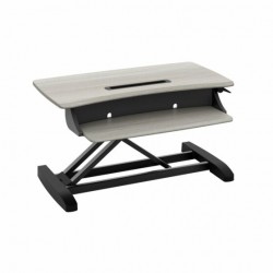 Ergotron 33-458-917 WorkFit-Z Mini Sit-Stand Desktop