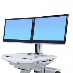 Ergotron 98-030 StyleView Dual Monitor Kit