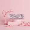 AKKO Keyboard RGB - 3087 Sakura Jelly Gateron Yellow Switch