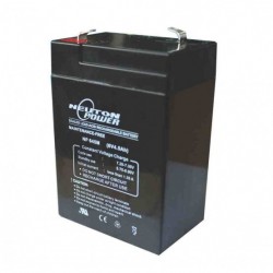 NEUTON POWER LEAD ACID RECHARGEABLE BATTERY NP645M 6V 4.5AH