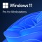 microsoft-windows-11-professional-64-bit-oem-for-workstation-12731