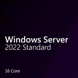 Microsoft Windows Server 2022 Standard 64-Bit OEM (16 Core)