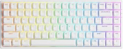 AK-6925758619448 AKKO 3084S Shine-Through ASA Keyboard White