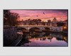Samsung QB85C 85" Signage| UHD | 16/7 | 350nit 