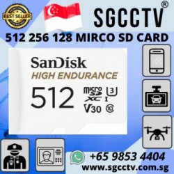SanDISK SDSQQNR-256G-GN6IA High Endurance MicroSDXC Card