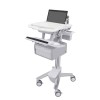 Ergotron SV43-11C0-0 StyleView Laptop Cart, Tall Double Draw