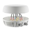 PEPLINK ANT-MAX Antenna Max