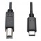 kramer-c-usbab-10-usb-20-am-to-bm-cable-10ft-18989