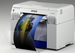 EPSON C12C891181 Large Printer Tray SL-D700