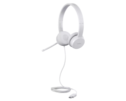 Lenovo 110 Stereo USB Headset GXD1E71385